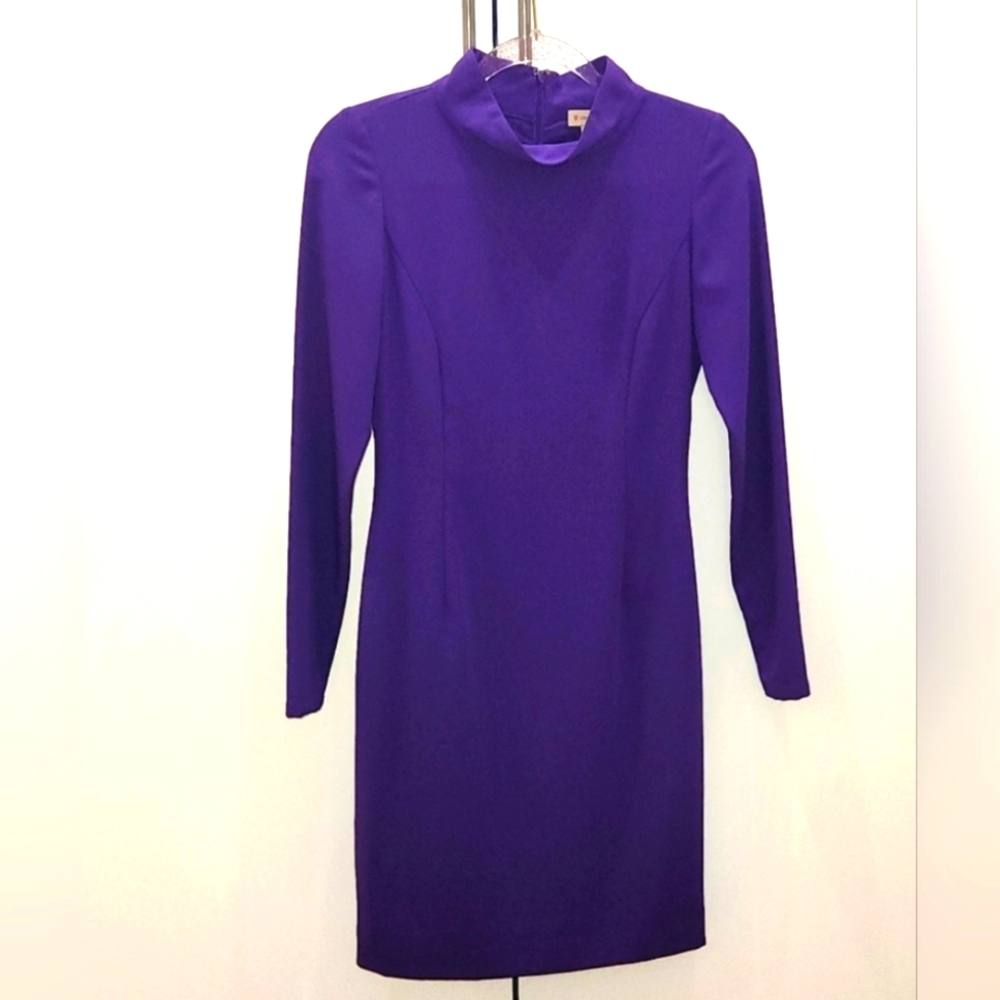 Cremieux Purple Turtle Neck L/S Dress